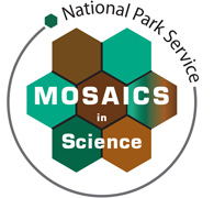 mosaics in science mosaics in science