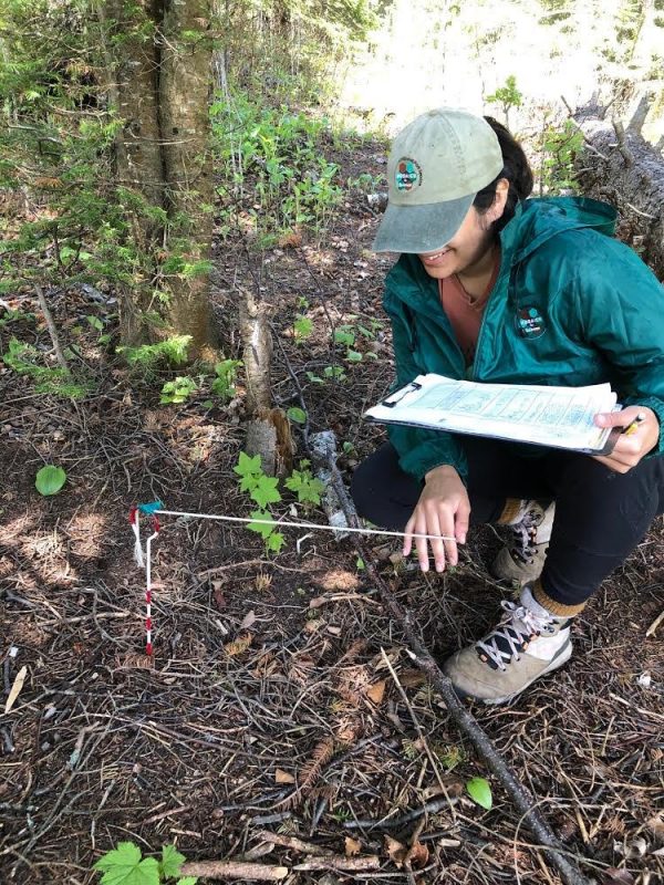 Mosaics In Science What bunny poop really tells us. Assessing isle