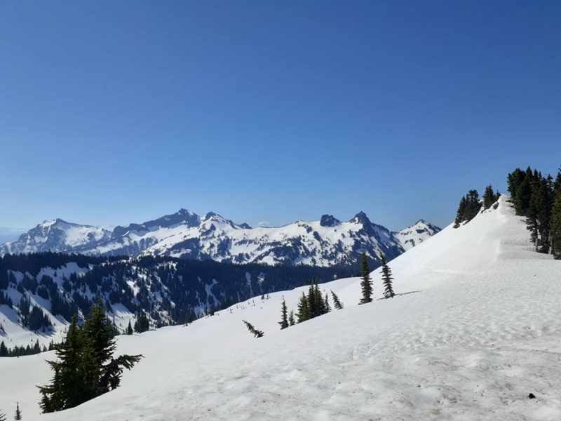 Mosaics In Science What’s the big idea on habituated