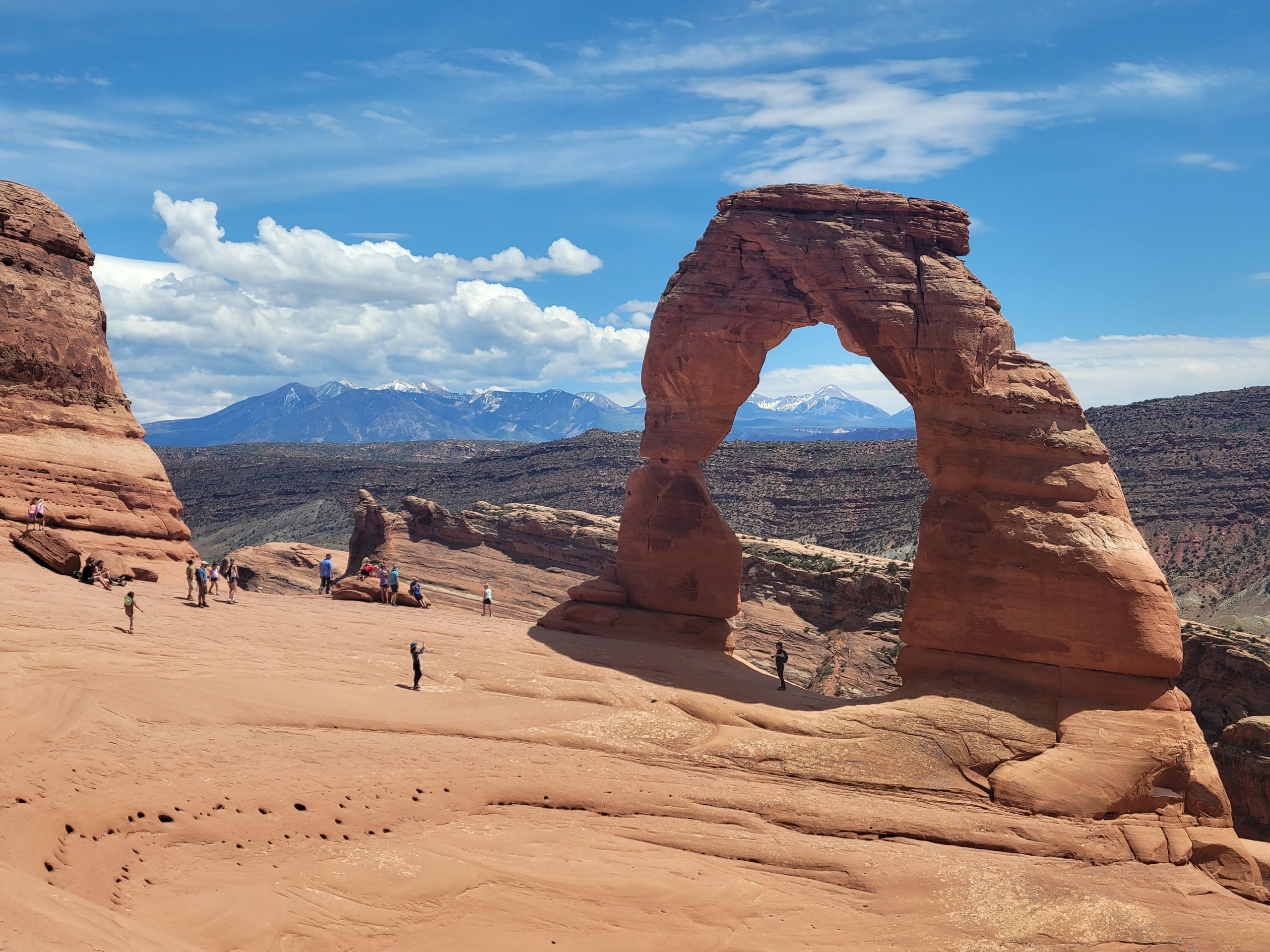 Mosaics In Science | Road Blocks, Red Rocks, and Red-Tailed Hawks