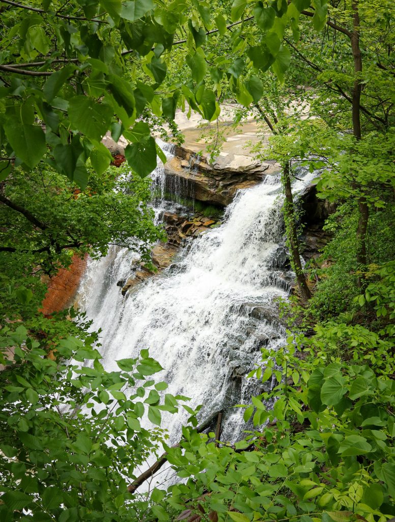 The Nature Adventure Book – Conservancy for Cuyahoga Valley National Park